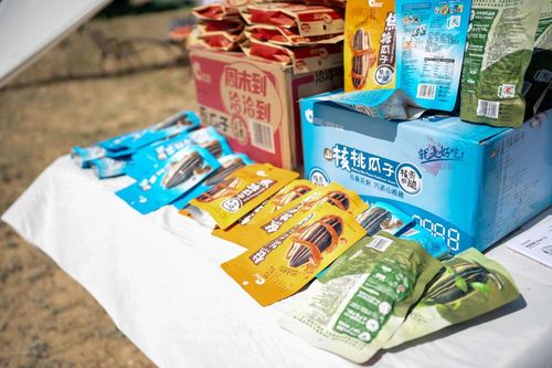 洽洽阿勒泰葵花節 全產業鏈溯源之旅，聯農帶農助農增收，融合乳制品創新